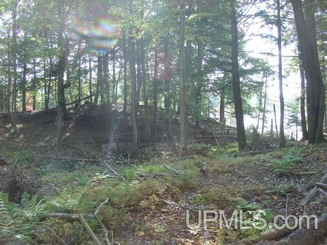 On Channel Road, Unit LOT 1 Watersmeet, MI 49969 - Photo 4 of 8 Gallery Image 4
