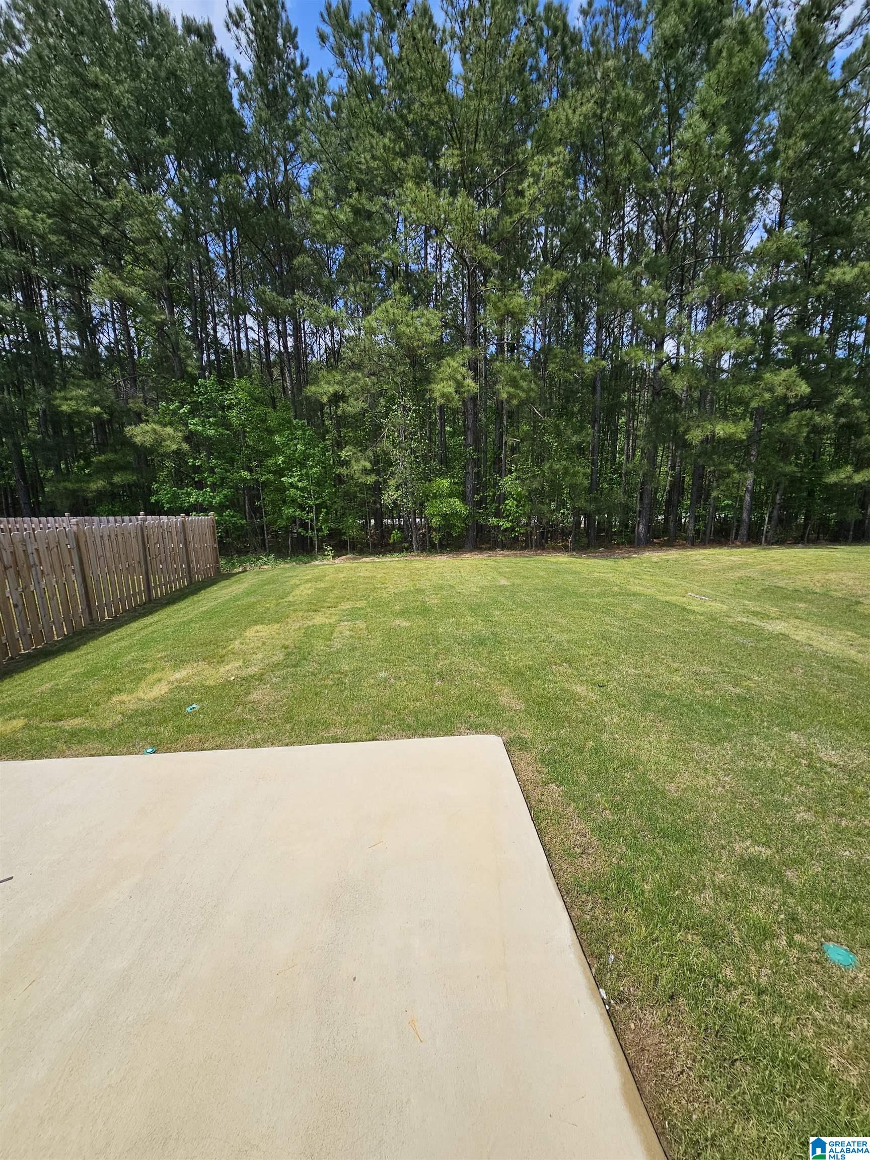 2119 Springfield Drive Chelsea, AL 35043 - Photo 31 of 34