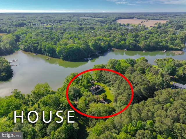 a view of a lake with a building in the background