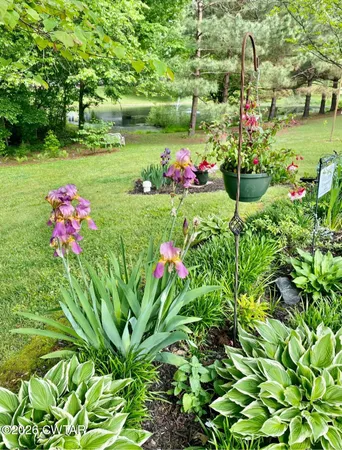 a view of a flower in a garden