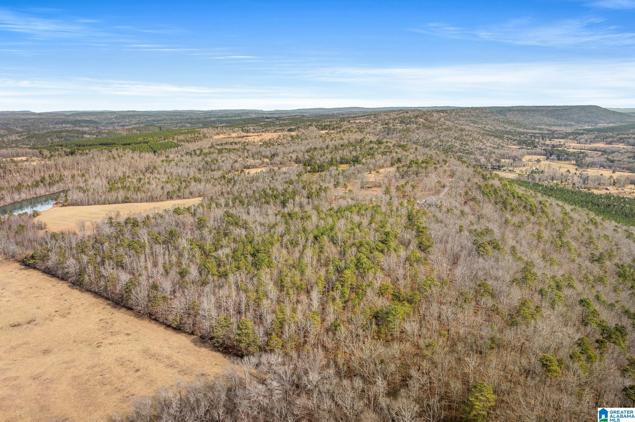 575 Mountain View Lane Springville, AL 35146 - Photo 63 of 84