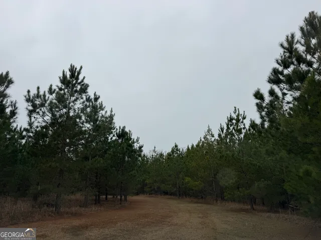 $240,000 | 3794 Millen Highway, Sylvania, GA 30467