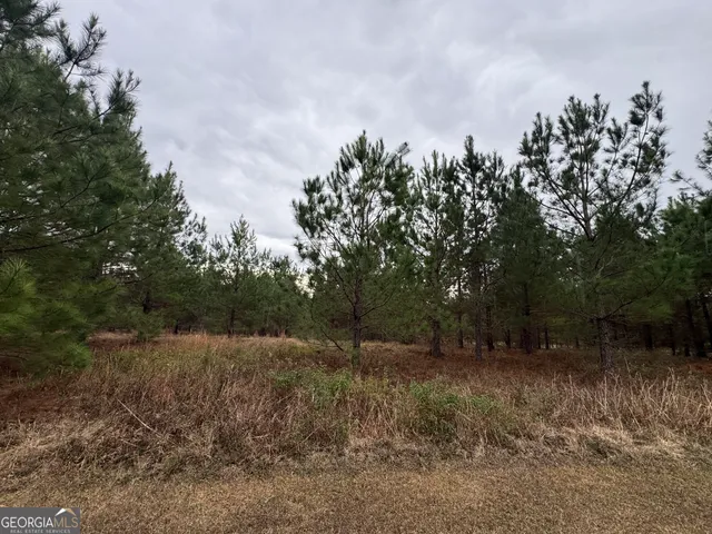 $240,000 | 3794 Millen Highway, Sylvania, GA 30467