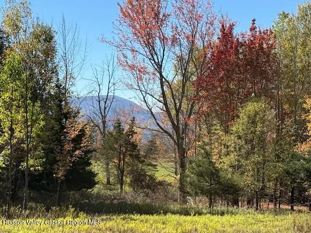 a view of yard with tree in the background