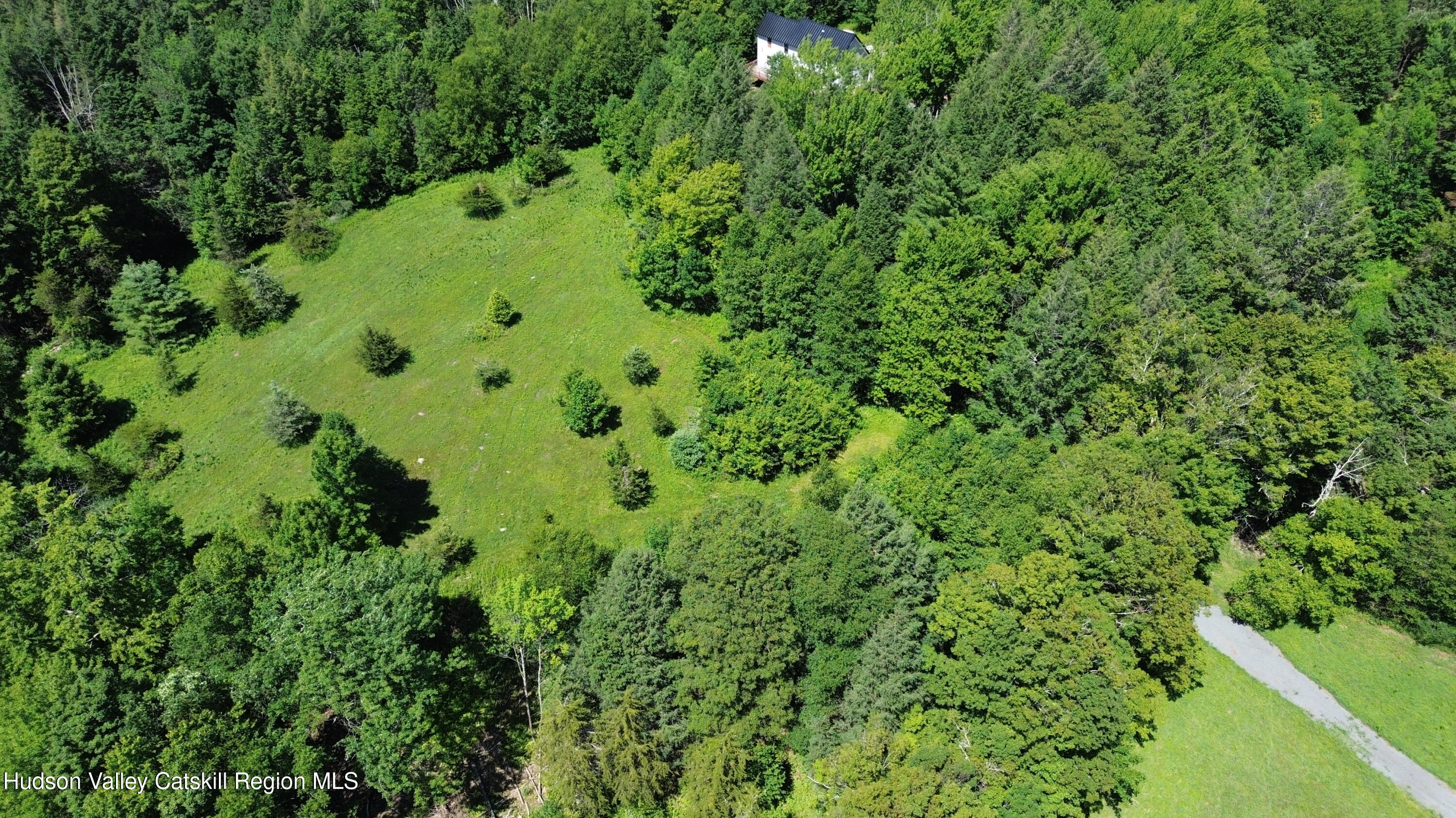 0 Van Etten Road Prattsville, NY 12468 - Photo 11 of 30 a view of a lush green forest with lots of trees
