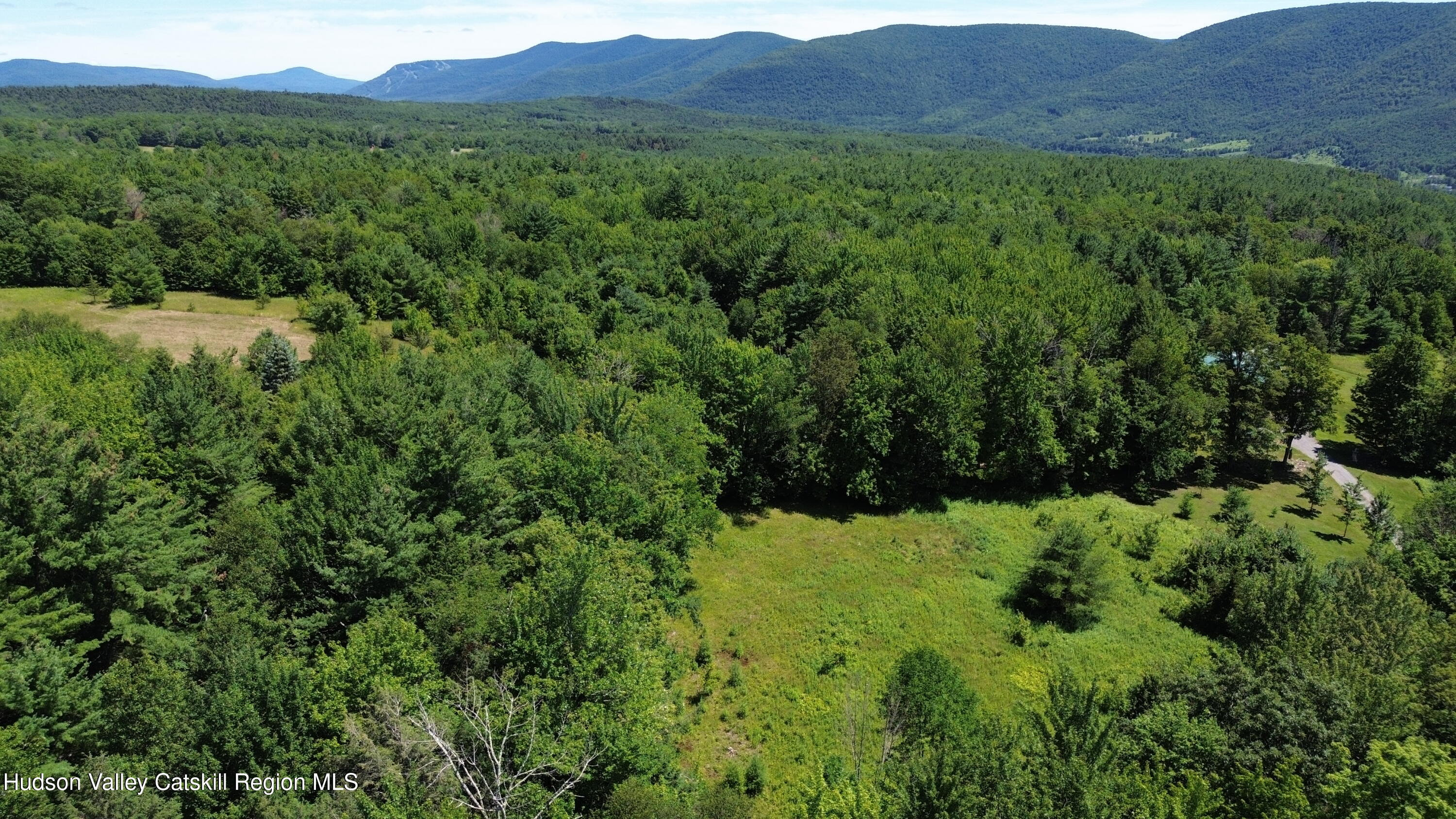 0 Van Etten Road Prattsville, NY 12468 - Photo 14 of 30 a view of a lush green hillside and a mountain view