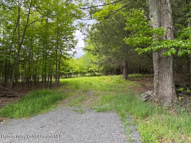 0 Van Etten Road Prattsville, NY 12468 - Photo 15 of 30 a view of a park with large trees