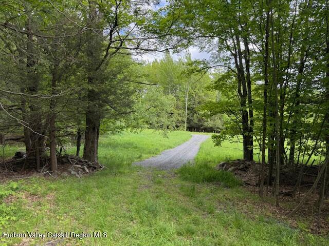 0 Van Etten Road Prattsville, NY 12468 - Photo 16 of 30 a view of a garden with a tree