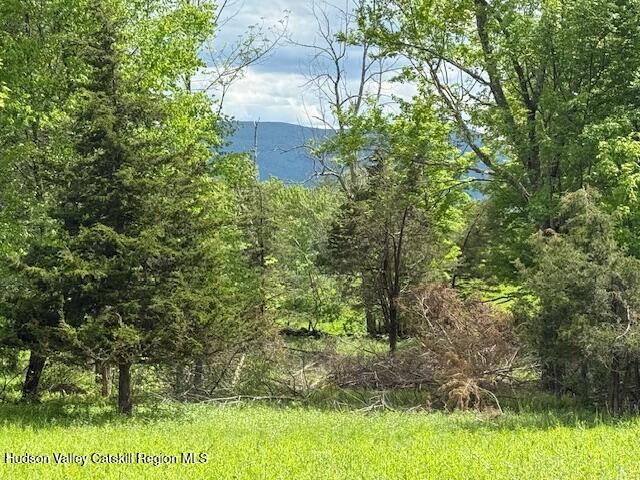 0 Van Etten Road Prattsville, NY 12468 - Photo 17 of 30 IMG_7336