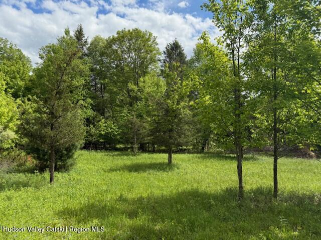 0 Van Etten Road Prattsville, NY 12468 - Photo 18 of 30 a view of outdoor space with a garden