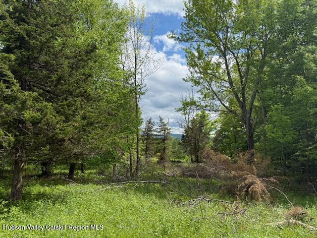 0 Van Etten Road Prattsville, NY 12468 - Photo 19 of 30 IMG_7349