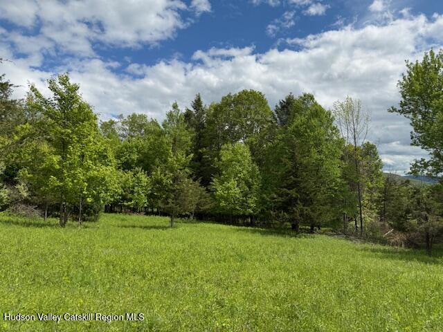 0 Van Etten Road Prattsville, NY 12468 - Photo 20 of 30 a view of a garden