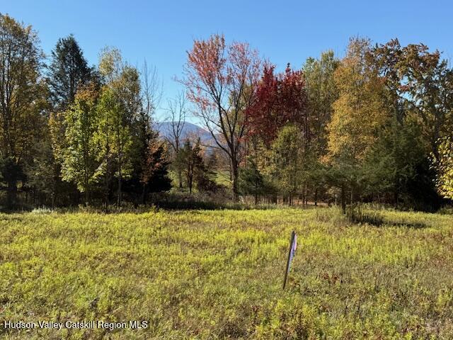0 Van Etten Road Prattsville, NY 12468 - Photo 2 of 30 a view of yard with tree in the background