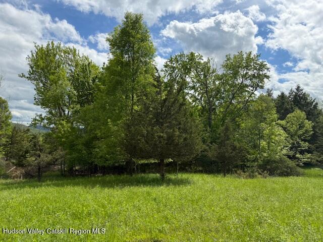0 Van Etten Road Prattsville, NY 12468 - Photo 21 of 30 a view of a yard