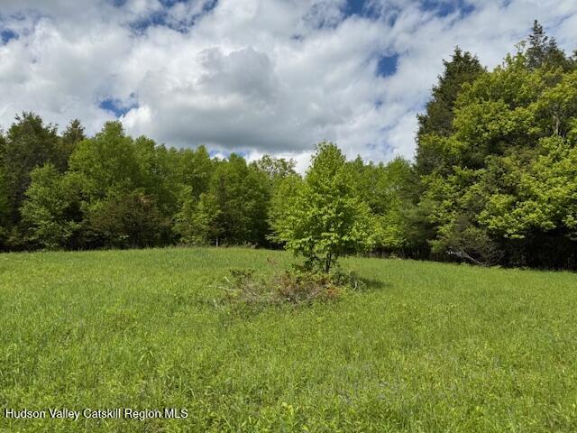 0 Van Etten Road Prattsville, NY 12468 - Photo 22 of 30 a view of a big yard with plants and large trees
