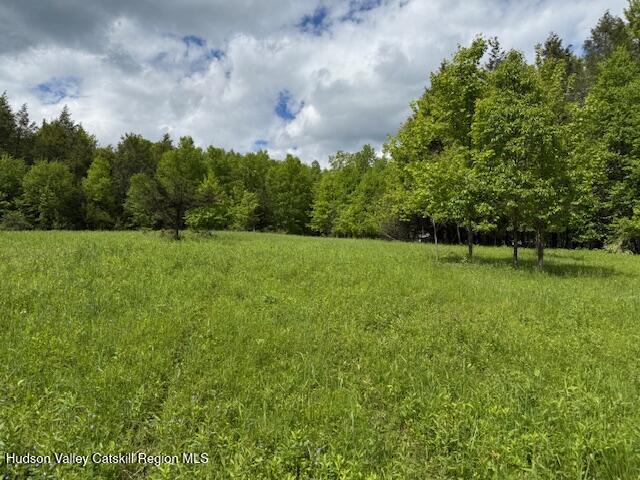0 Van Etten Road Prattsville, NY 12468 - Photo 23 of 30 a view of an outdoor space and a yard