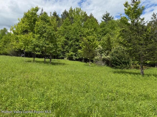 0 Van Etten Road Prattsville, NY 12468 - Photo 24 of 30 IMG_7347