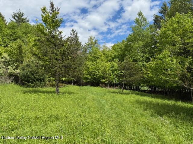 0 Van Etten Road Prattsville, NY 12468 - Photo 25 of 30 IMG_7348