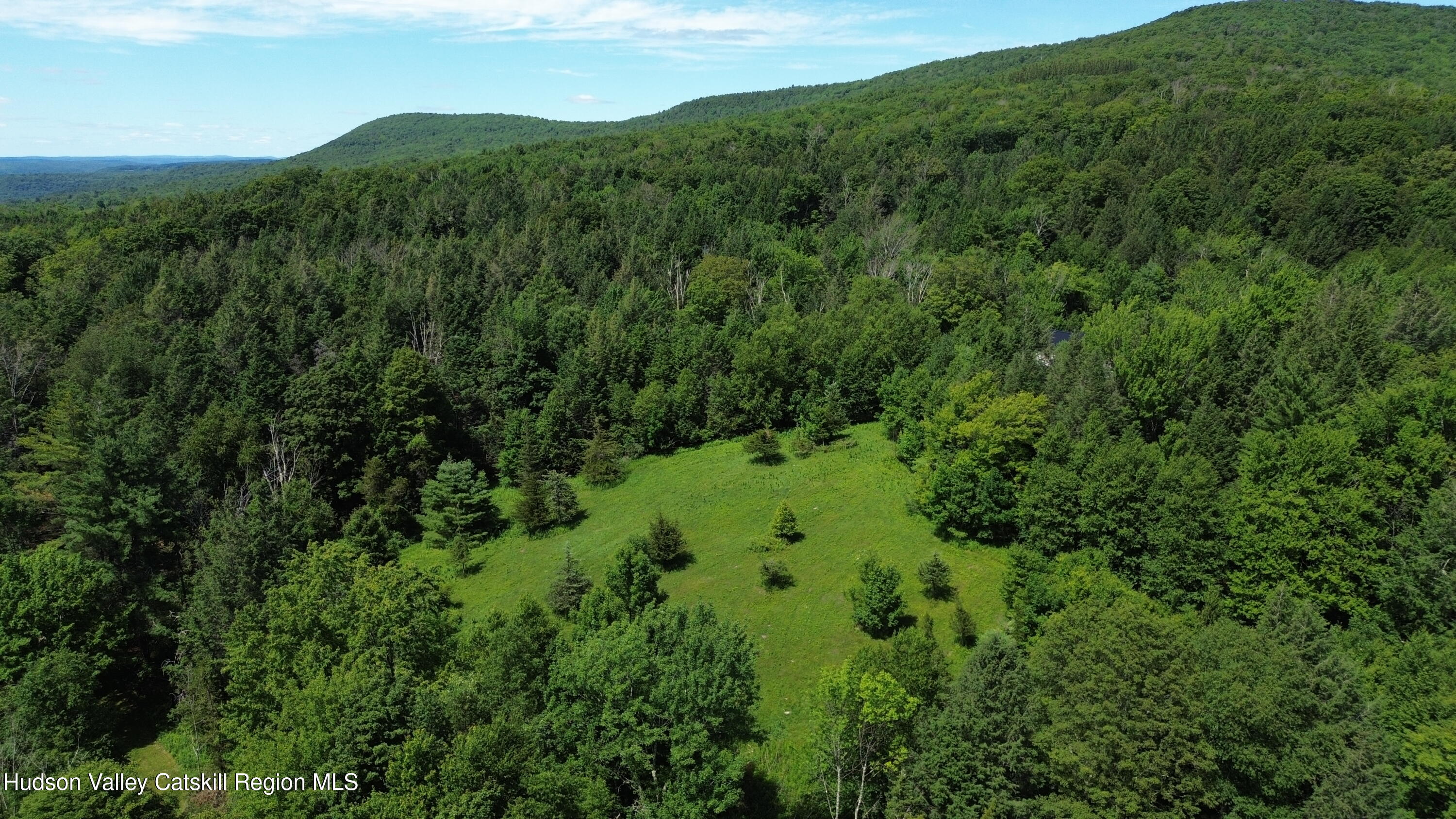 0 Van Etten Road Prattsville, NY 12468 - Photo 29 of 30 a view of a lush green forest with a mountain