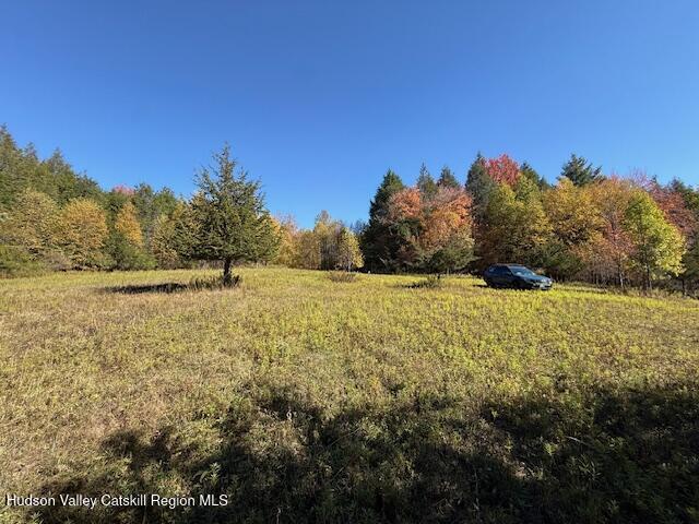 0 Van Etten Road Prattsville, NY 12468 - Photo 3 of 30 IMG_3060