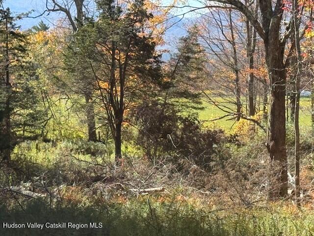 0 Van Etten Road Prattsville, NY 12468 - Photo 4 of 30 IMG_3055
