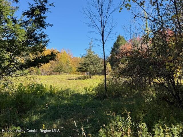 0 Van Etten Road Prattsville, NY 12468 - Photo 5 of 30 IMG_3099