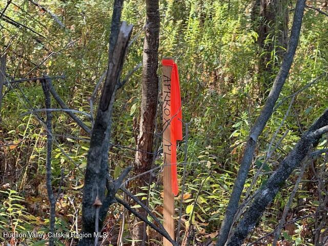 0 Van Etten Road Prattsville, NY 12468 - Photo 6 of 30 IMG_3074