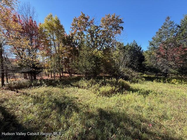 0 Van Etten Road Prattsville, NY 12468 - Photo 7 of 30 a view of a yard with plants and a bench