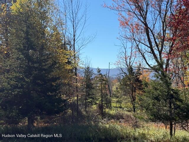 0 Van Etten Road Prattsville, NY 12468 - Photo 8 of 30 a backyard of a house with lots of green space