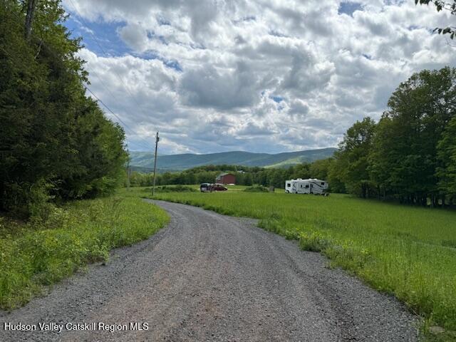 0 Van Etten Road Prattsville, NY 12468 - Photo 9 of 30 IMG_7316