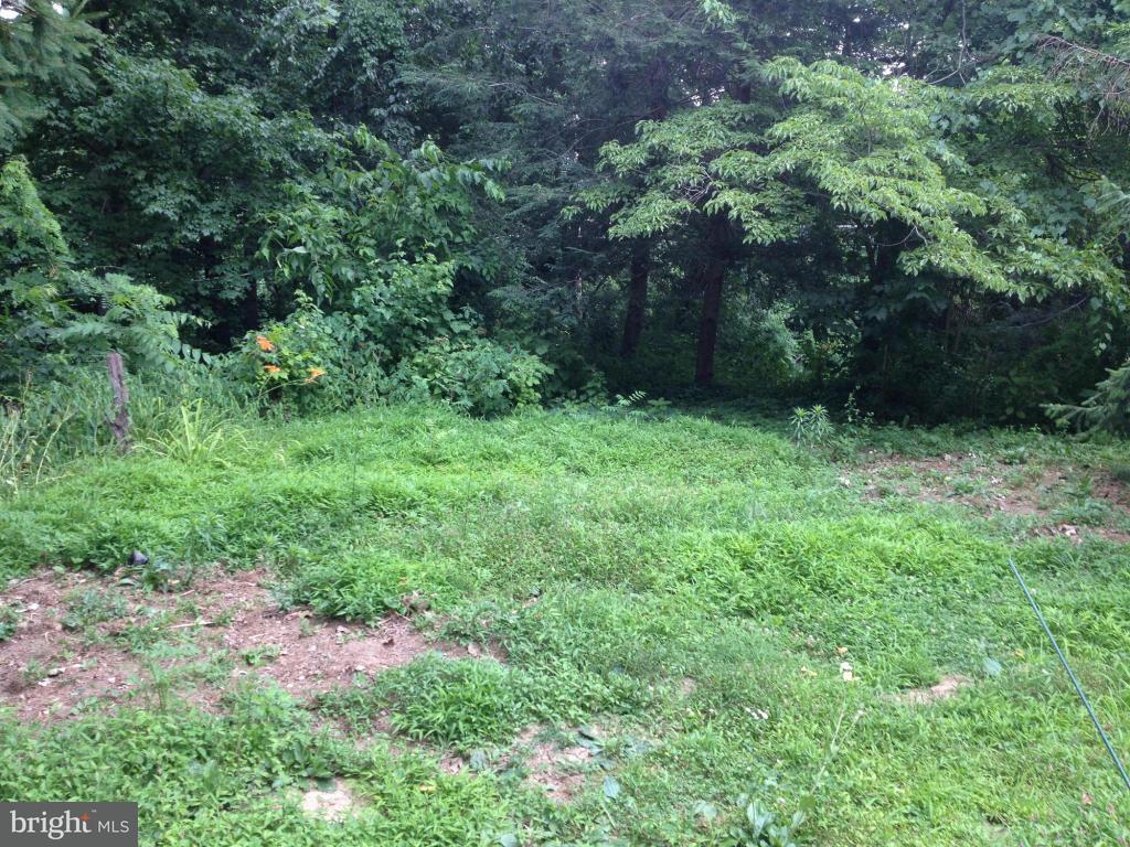 265 Governor Stable Road Bainbridge, PA 17502 - Photo 3 of 13 Gallery Image 3
