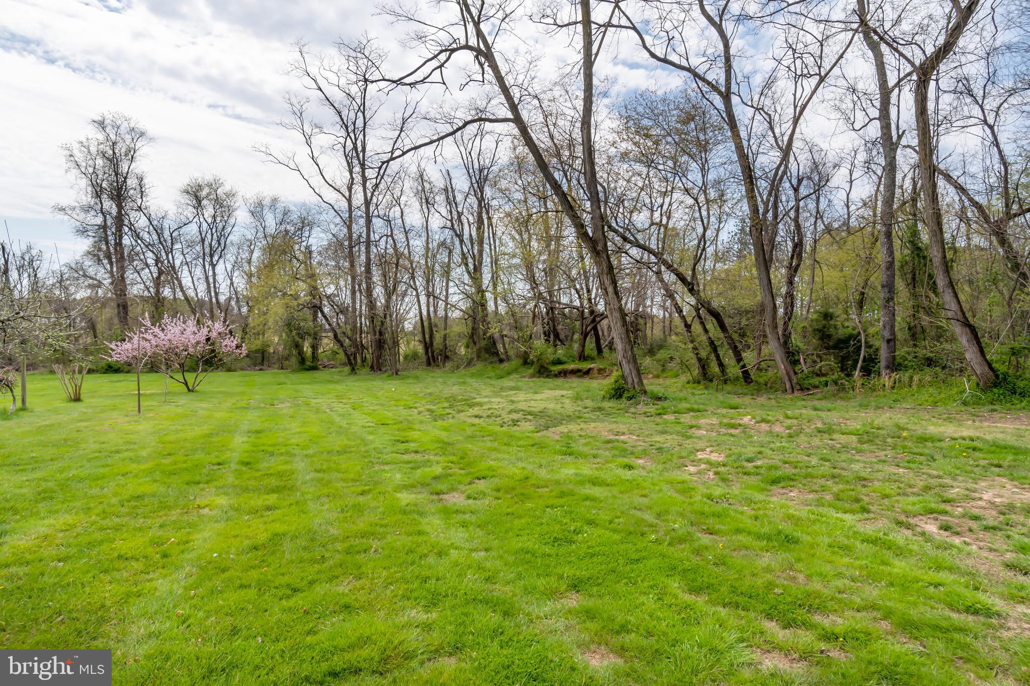 26979 Branchtown Road Worton, MD 21678 - Photo 21 of 23 Gallery Image 21