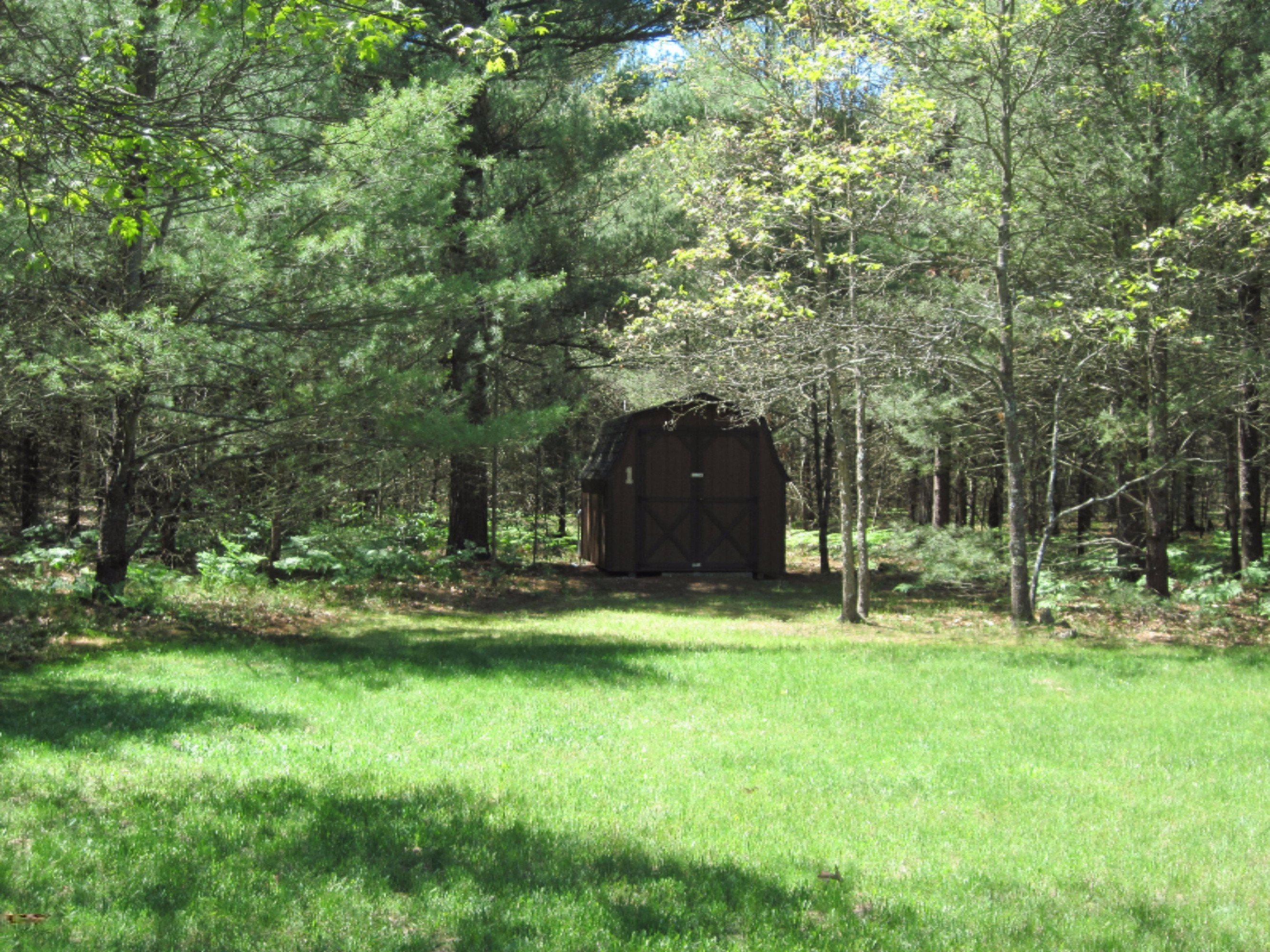9778 Dalson Road Holton, MI 49425 - Photo 34 of 36 IMG_0027