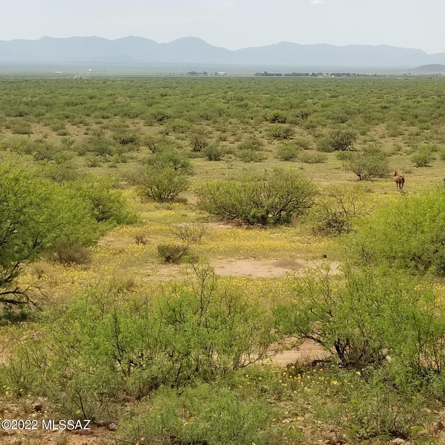 Tbd 39-ac Tbd 39-ac Morgan Ranch Road, Unit 210 Elfrida, AZ 85610 - Photo 10 of 37