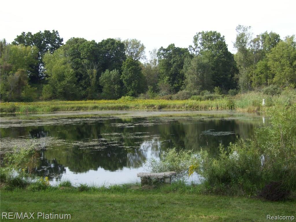 20469 Barton Road Pinckney, MI 48169 - Photo 3 of 15 POND