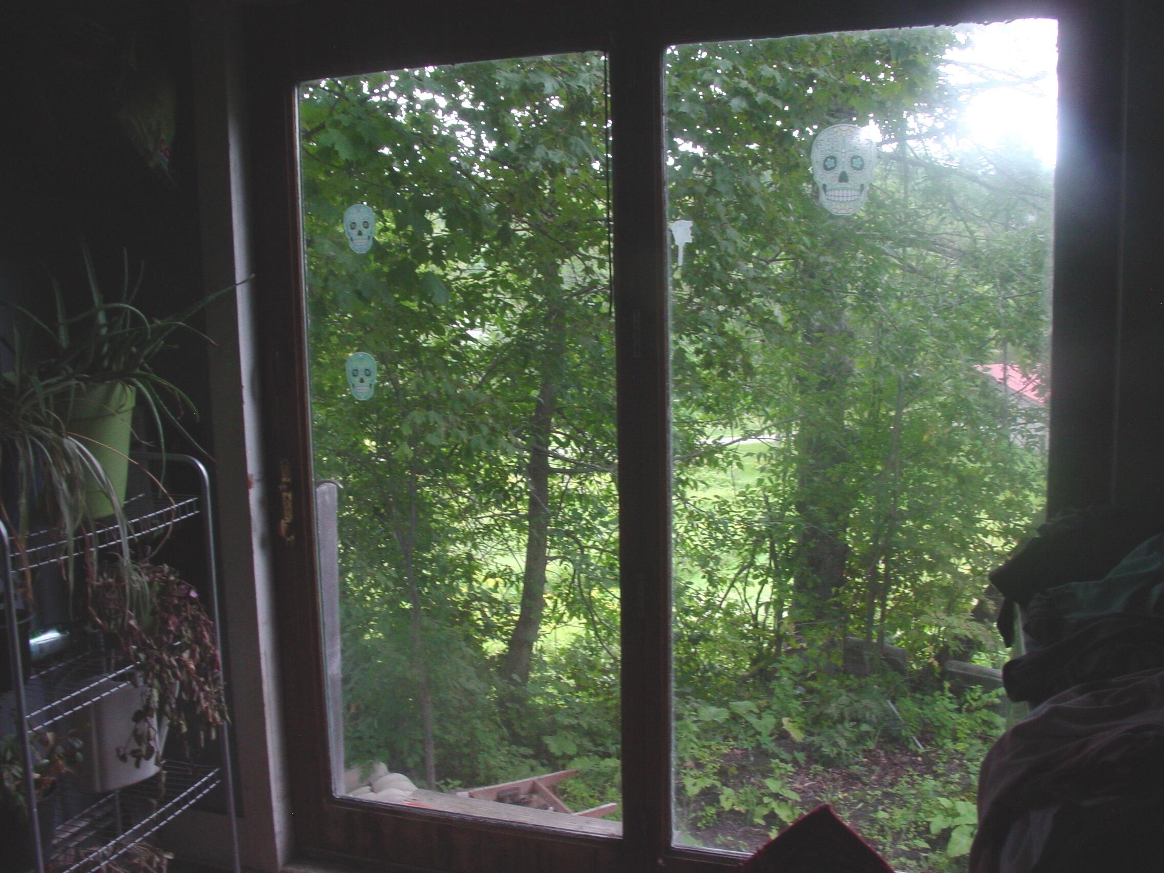 425 Malbons Mills Road Skowhegan, ME 04976 - Photo 17 of 18 DSC00079