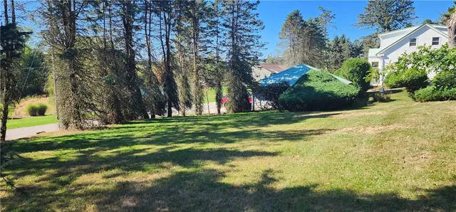 a view of a tree in a yard