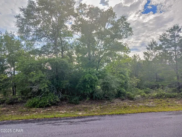$13,500 | Lot 20 Velvet Drive, Chipley, FL 32428