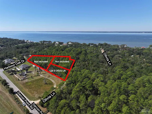 a view of a forest with trees