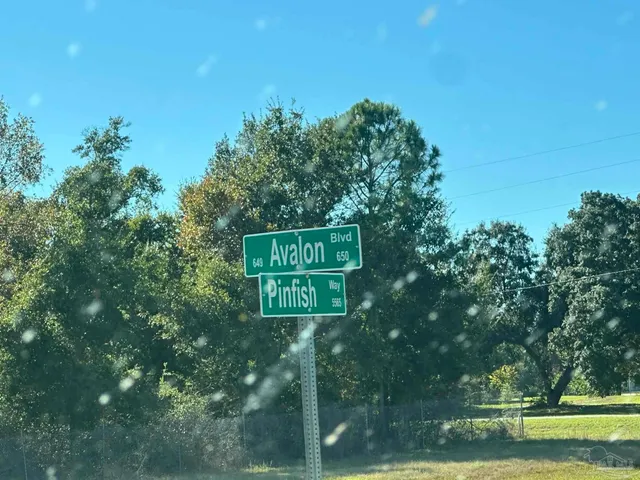 a view of a yard with a house in the background