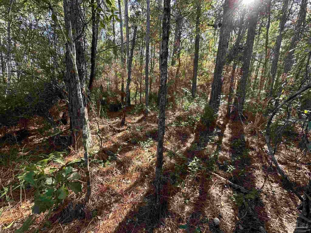 $45,000 | Lot 5 Olivia Lane, Malden, MA 02148