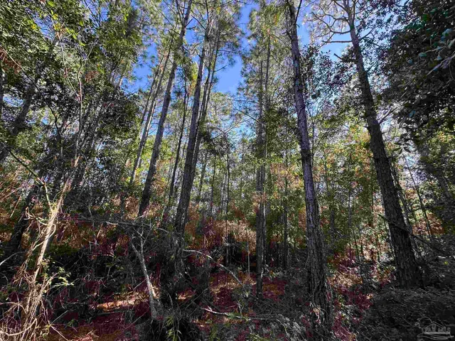 $45,000 | Lot 5 Olivia Lane, Malden, MA 02148