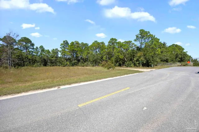 a view of yard with tree