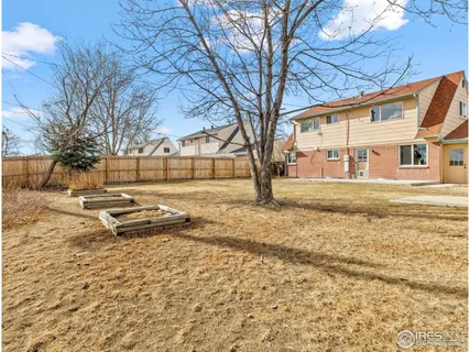 a view of a yard with a tree