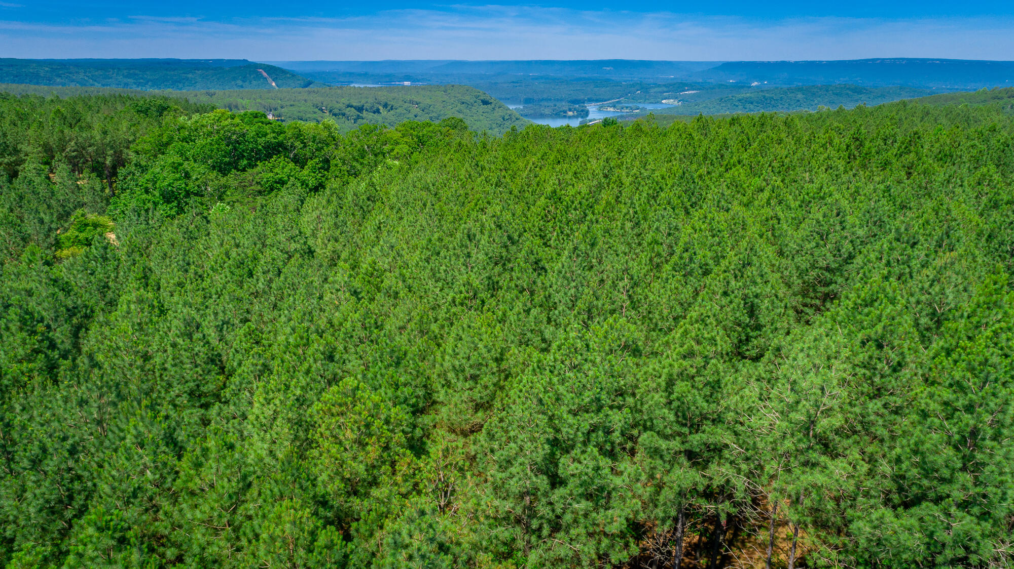 0 Split Rail Way, Unit LOT 1163 Guild, TN 37340 - Photo 65 of 118 River Gorge Lot 1163 HD-71