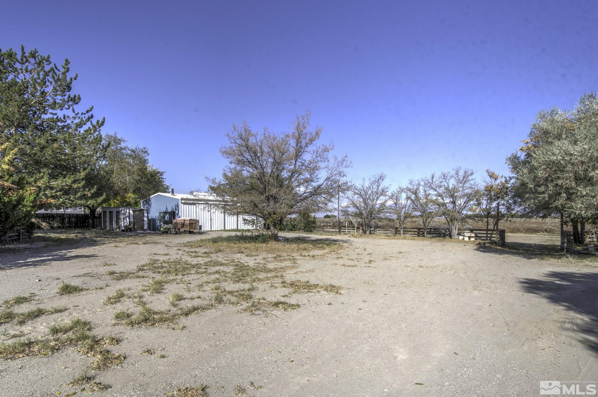 2626 Rice Road Fallon, NV 89406 - Photo 37 of 39 a view of a yard with a tree