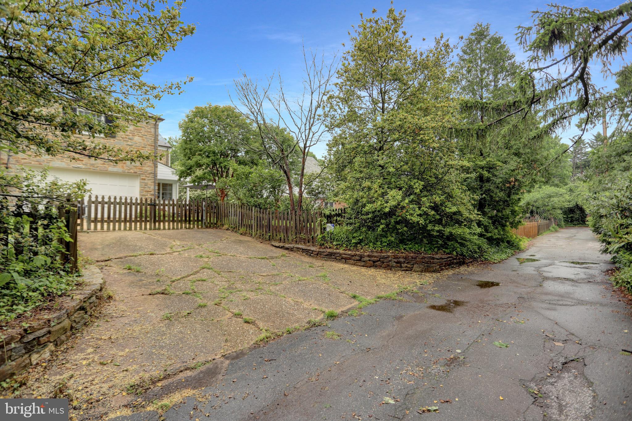 121 Croydon Road Baltimore, MD 21212 - Photo 50 of 57 a view of backyard and trees