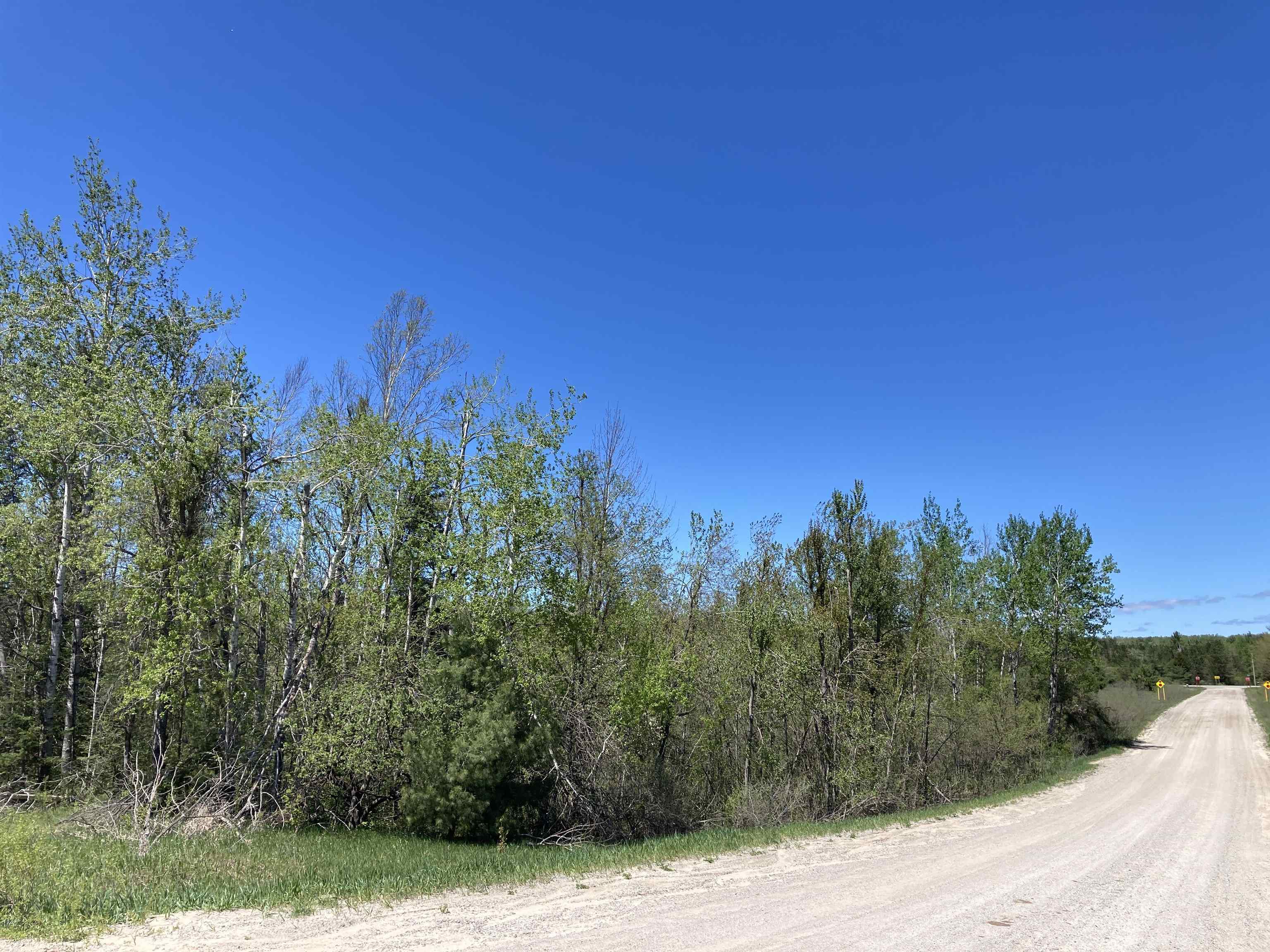 0 West Miller Road Mio, MI 48647 - Photo 12 of 23