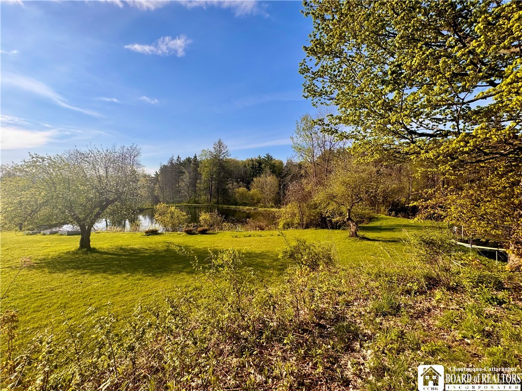 5166 Pickard Road Dewittville, NY 14728 - Photo 42 of 46 Pond 1/backyard