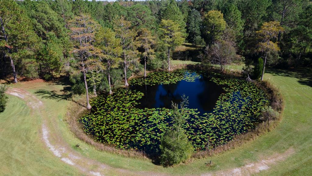 1487 Ebenezer Road Lake City, FL 32025 - Photo 1 of 1 Gallery Image 1